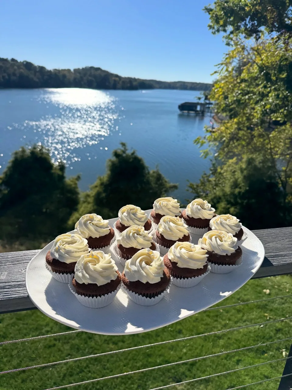 Chocolate vanilla cupcakes with mascarpone frosting