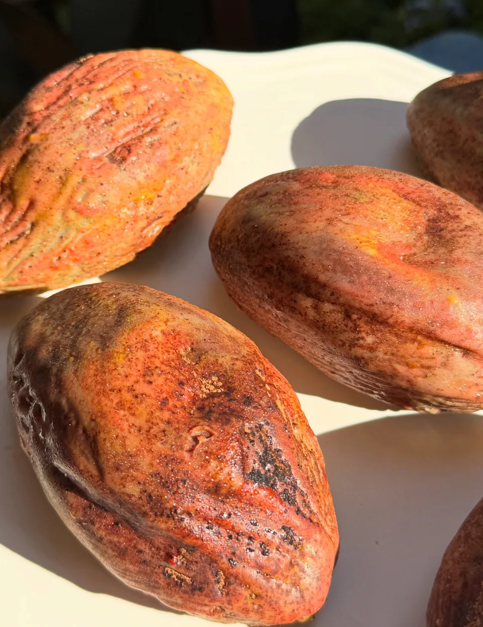 Cacao-pod mousse pastries